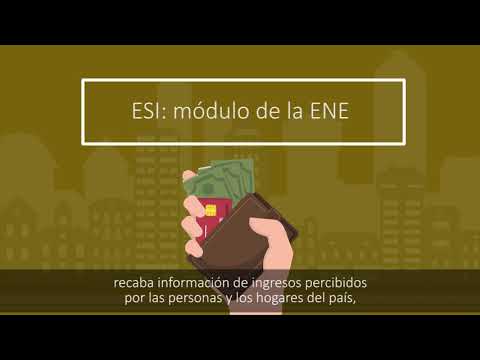 INE / Encuesta Suplementaria de Ingresos (ESI)