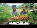 Chú Mạnh | Cá Trắm Xối Dầu Nguyên Con
