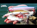 Lure fishing VS Bait fishing! Fishing Cape Cod Canal