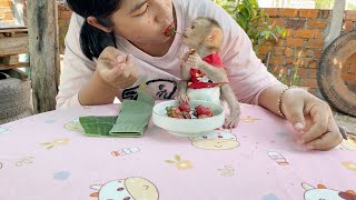 Precious BB DAM Enjoy Having Strawberry With Mom Very Yummy