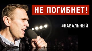 НЕ  ПОГИБНЕТ!  НАВАЛЬНЫЙ*  ЗДЕСЬ:  ДЕРЕВО  СВОБОДЫ  НЕ ВЫКОРЧЕВАТЬ #веллер 20 02 2024