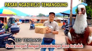 KESENANGAN HATI BERBURU MERPATI SEMBARI REFRESHING DI PASAR NGADIREJO TEMANGGUNG 