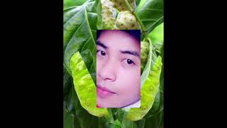 Wow delicious fruits🌈💞💕