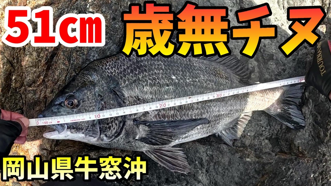ついに50㎝越えの歳無チヌゲット！in 岡山県牛窓沖 - YouTube