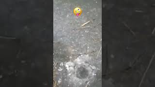 Underwater Explosion , Dangerous, Interesting, Firework #shorts