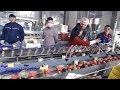 PE co extrusion decking making machine testing in our factory (Sophie 0086 15063923327)