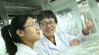 Women in Science - Professor Xiaofeng Cao