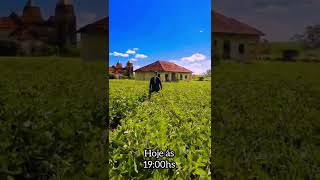 22 De Janeiro De 2022