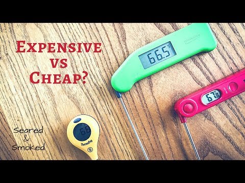 Cheap vs Expensive Meat Thermometers