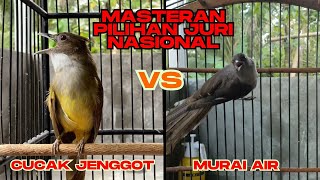 Perang Suara Kasar! Cucak Jenggot vs Murai Air |  Pilihan Gacor Para Juri !!