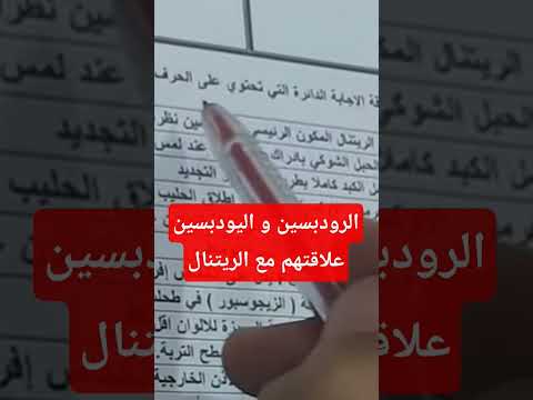 ما علاقة كلا من الريتنال مع الرودبسين و اليودبسين