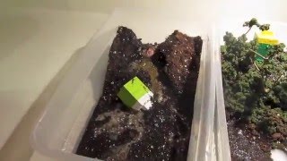 Peytyns Landslide Project Video