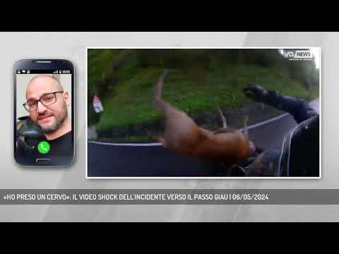 «HO PRESO UN CERVO»: IL VIDEO SHOCK DELL'INCIDENTE VERSO IL PASSO GIAU | 06/05/2024