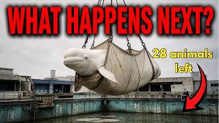 Marineland’s Disgusting Last Move Before Park is ABANDONED & Left to ROT