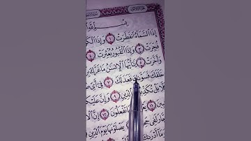 قراءة جميله من سورة الانفطار تريح النفس بصوت القارئ علاء عقل 🎆☘️☘️#القرآن_الكريم#المصحف #راحة_نفسية