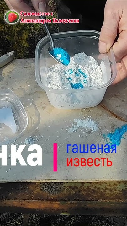Замазка ран и срезов на плодовых деревьях - YouTube