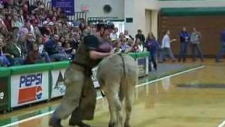 Donkey Basketball comes to Belgrade
