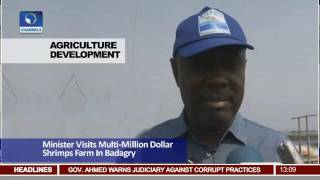 Minister Visits Multi million Dollar Shrimps Farm In Badagry