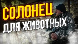 Солонец для животных! Как сделать солонец! #солонец