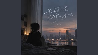 我试着习惯没有你的每一天