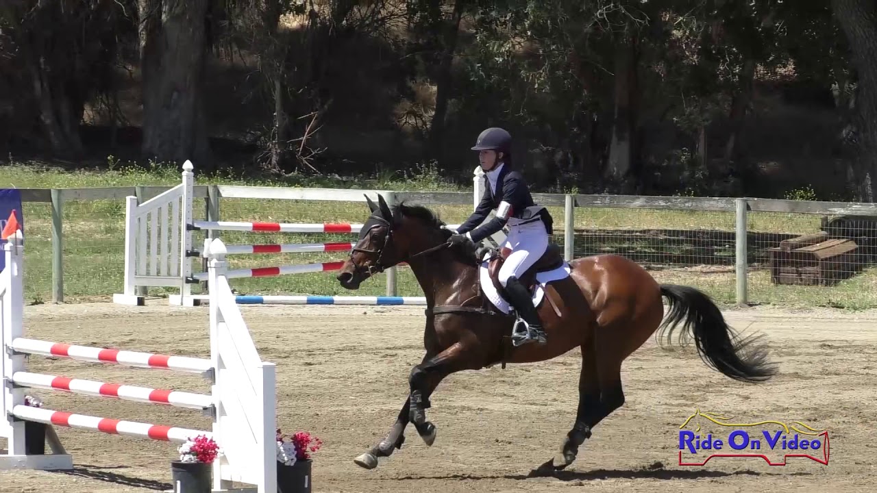 horseshoe bend 086S Sydney Cort on Picture of Ellagance JR Novice Show Jumping Shepherd Ranch June 2019