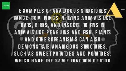 What Is An Example Of An Analogous Structure?