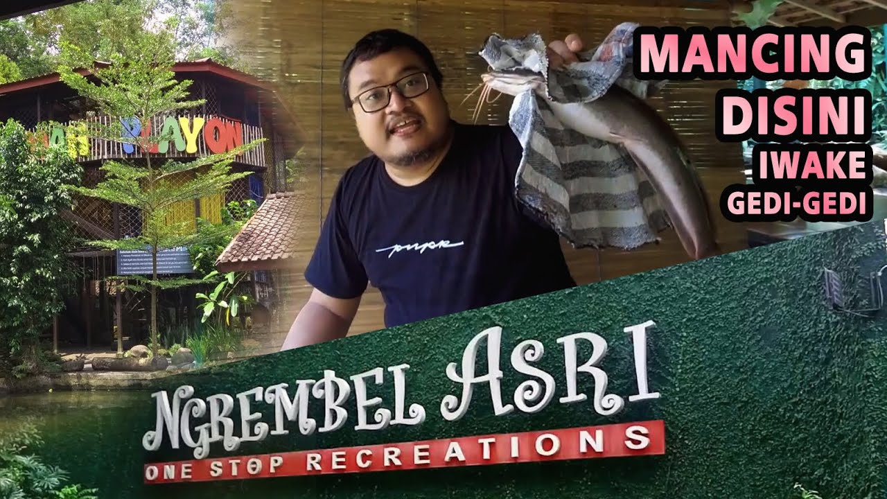 comedy, this location has lots of rare fish