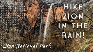 Hiking Zion National Park in the rain!