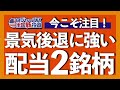 ナスダック100の3倍リターン！超優良な厳選配当株2銘柄を解説します【米国株投資】2023.5.23