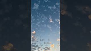 Day 6 of posting sky pictures #sky #clouds #scenery #viral #subscribe #blue #earth #white #cool