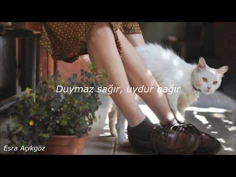 Nilipek & Can Kazaz - Kendi Halimde Lyrics