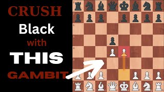 Crush Black with the Blackmar Gambit