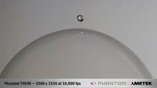 Bubble Dynamics with Phantom T4040