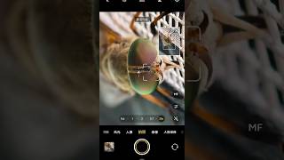 Vivo X200 Pro Camera 20x, 30x, 50x Zoom Telephoto Lossless Photography #photography #vivox200pro