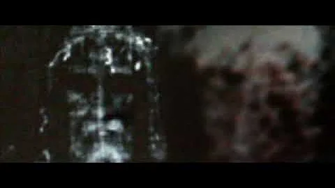 The Real Veronica Veil