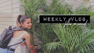 i don&#39;t know what to call this vlog lol - my birthday, buying plants + photoshoots
