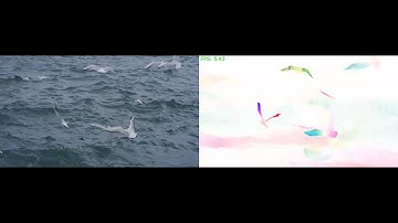 RAFT Optical Flow Triton Client Inference Test