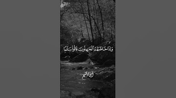 آيات من سورة الفرقان 🤍🎧.. اللهم ارزقنا الاخلاص والقبول 🤲 || القارئ محمد الحنفي