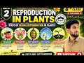 Unit 2 Steps of Sexual Reproduction in Plants | Pollination to Seed Germination | 6th BBISE QUETTA