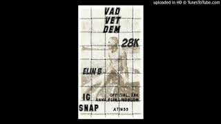 28K - Vad vet dom ( Feat - Elin B )