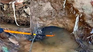 PEMANCING IKAN LEMBAT - mancing di lubang pakai usus ayam - 2021