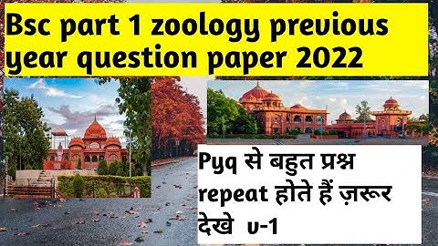 Bsc part 1 zoology subsidiary vvi questions, previous year question discussion 2023 ke exams me