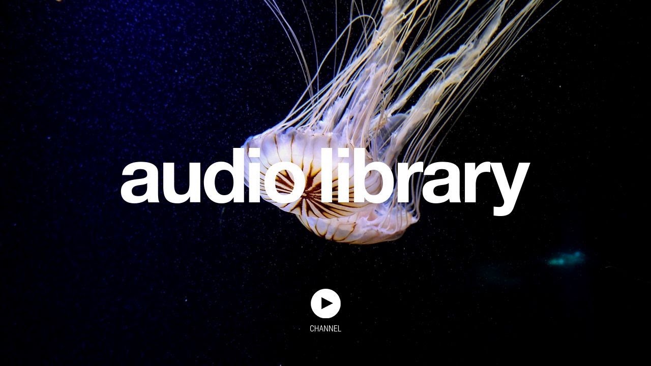 Animal – Max Surla, Media Right Productions (No Copyright Music)