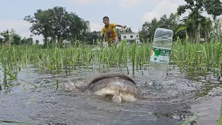 Plastic Bottle Fishing Technique - Village Boy Catching Fish Using Plastic Bottle Fish Trap