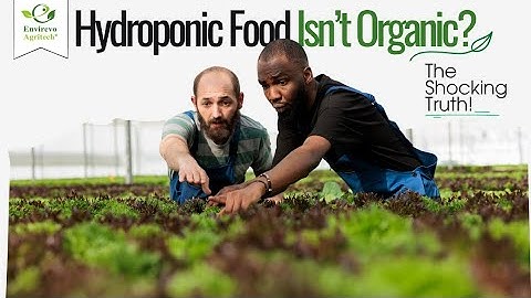 Is Organic Farming and Hydroponic Farming Same? The Shocking Truth!