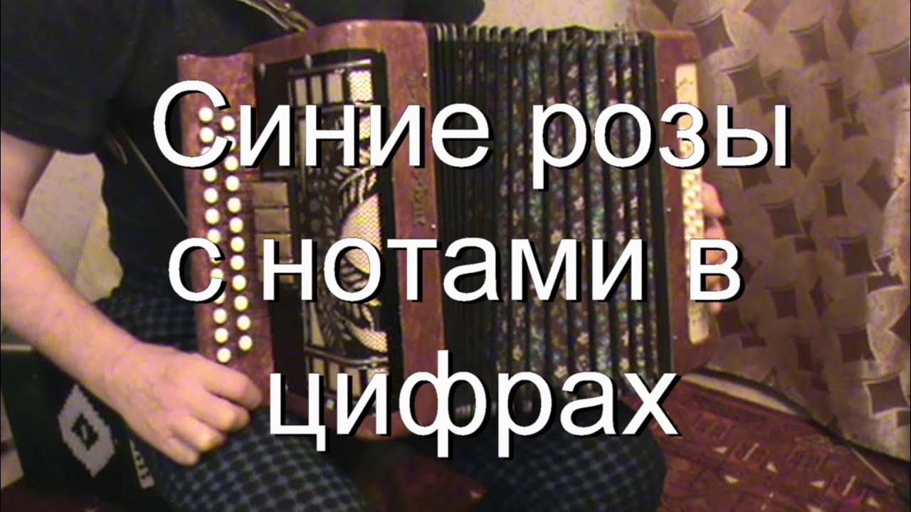 Синие розы текст песни. Ты просила на свиданье синих. Ты смеялась надо мной я просила на свидание синих. Песня на свидание синих роз. Frequenz ты смеялась надо мной.