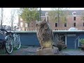 Beelden gemaakt van dode bomen in 1018