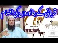 قربانی کے جانوروں کی اقسام    