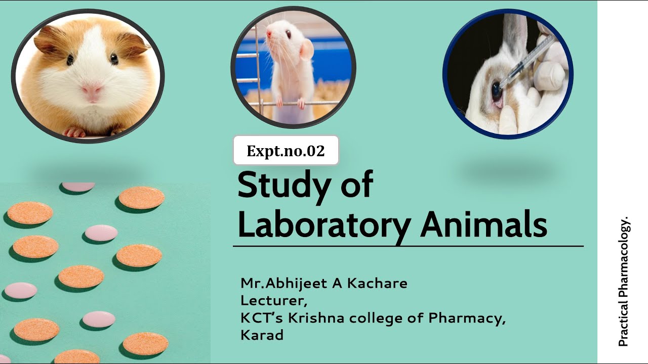 Expt. No. 02 Study of Laboratory Animals S Y D Pharm as per PCI new  syllabus ER 2020 - YouTube