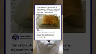 my mom banned my crusty yellow pillow 💀 | funny memes | dank memes | relatable american memes my mom banned my crusty yellow pillow 💀 | funny memes | dank memes | relatable american memes